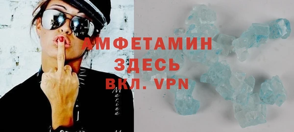 индика Ростов