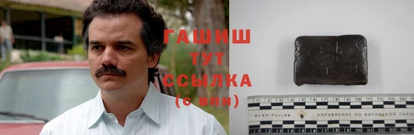 индика Ростов