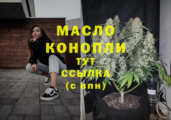 индика Ростов