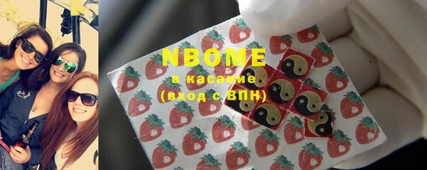 индика Ростов