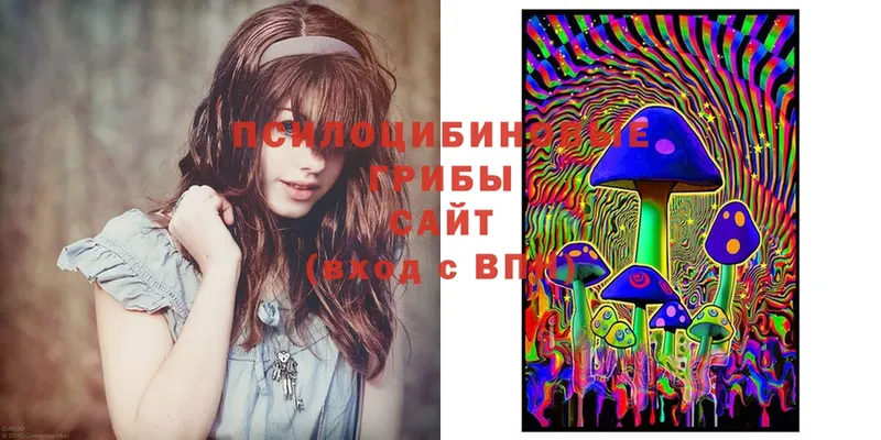 Псилоцибиновые грибы Magic Shrooms  Армянск 